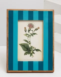 Carolyn Donnelly Eclectic Stripe Frame