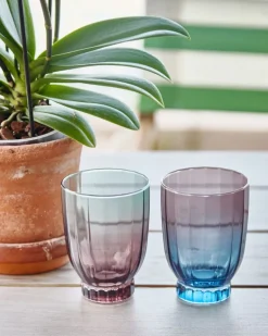 Carolyn Donnelly Eclectic Glass Tumbler