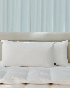 Francis Brennan the Collection King Pillow