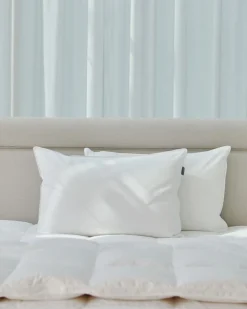 Francis Brennan the Collection Luxury Microfibre and Silk Fill Pillow