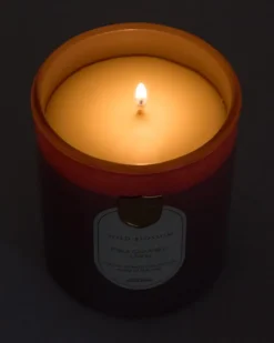 Paul Costelloe Living Costelloe Candle